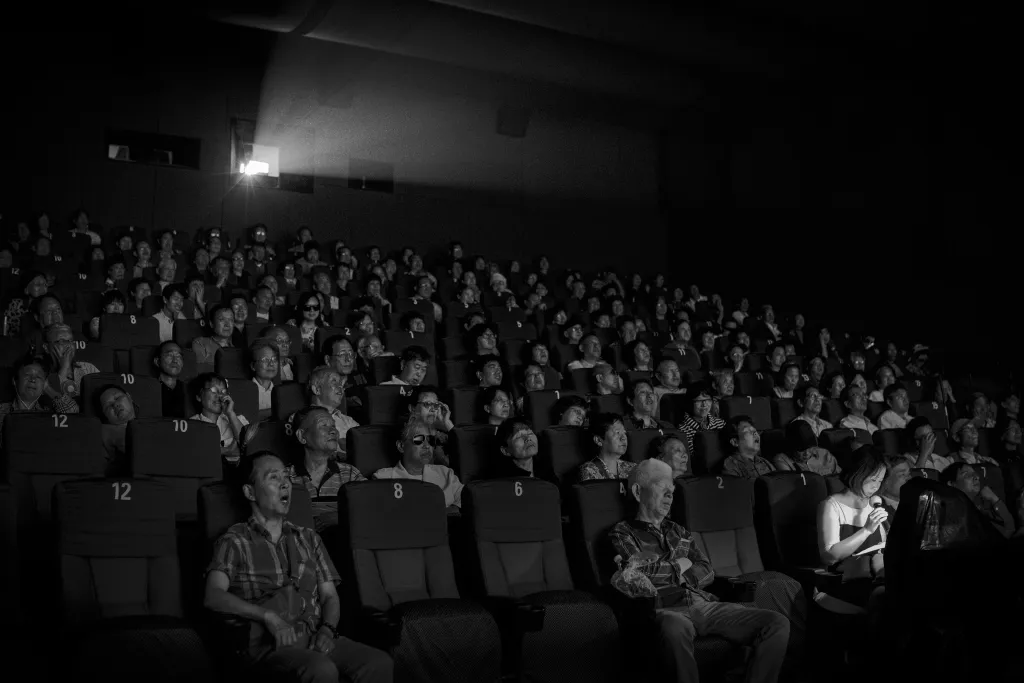 Zvuk světla (kategorie Kultura). Snímek zachycuje skupinu zrakově postižených, jak sleduje film v divadle v Šanghaji. „V Číně žije 18 milionů nevidomých, pro něž je sledování filmu nereálným snem. V posledních deseti letech se jim některé organizace snaží tento sen splnit. Jedním ze způsobů je tzv. Live Audio Description. Vypravěč sedí v promítací místnosti a živě vypráví, zatímco film hraje.“