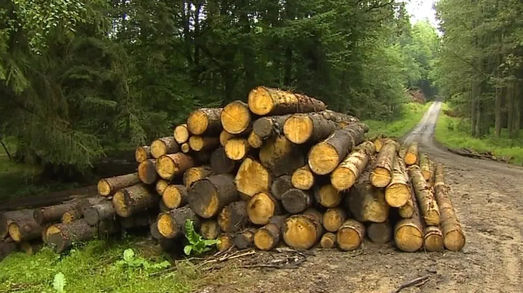 Klády