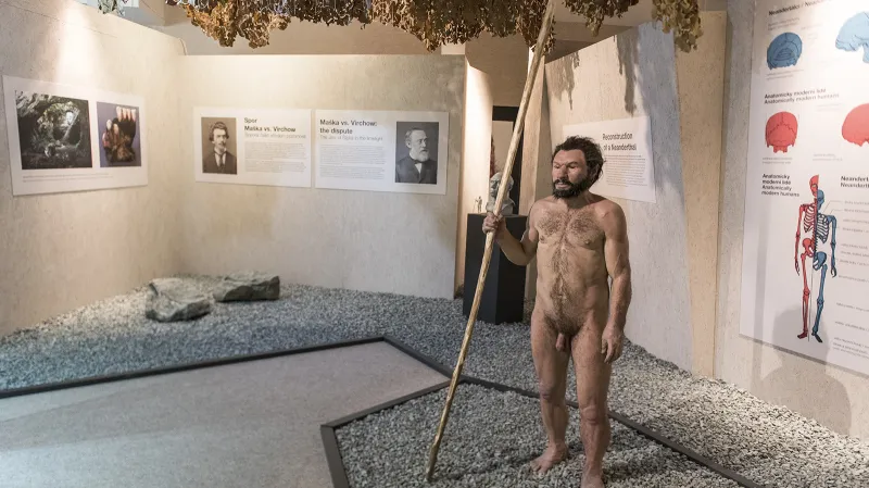 Z výstavy Vítejte u neandertálců v Pavilonu Anthropos Moravského zemského muzea v Brně