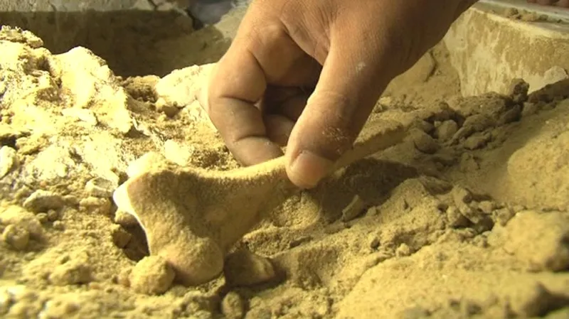 Archeologové prozkoumávají nalezené ostatky