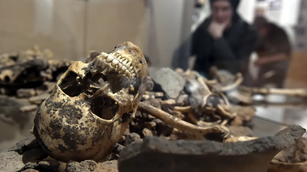 Ostatky z hrobu ze starší doby bronzové, nalezného v Kunovicích