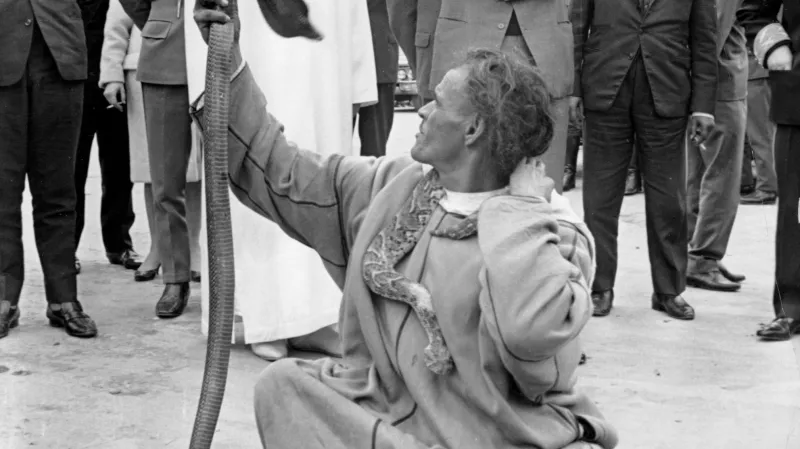 V roce 1964 navštívil Philip Maroko. V Marakéši sledoval práci zaříkávače hadů