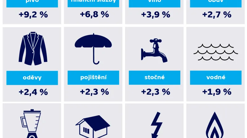 Meziroční růst cen podle vybraných položek v únoru