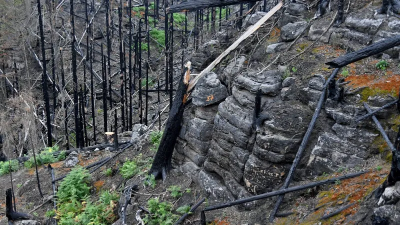 Požářiště v Edmundově soutěsce