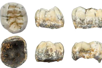 Záhadní denisované pronikli až do Laosu. Nová studie ukazuje jejich výjimečnou schopnost adaptace