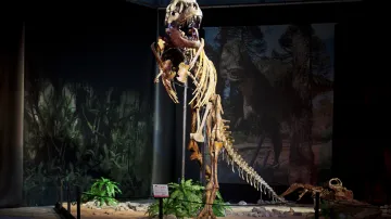 Výstava Dinosarium