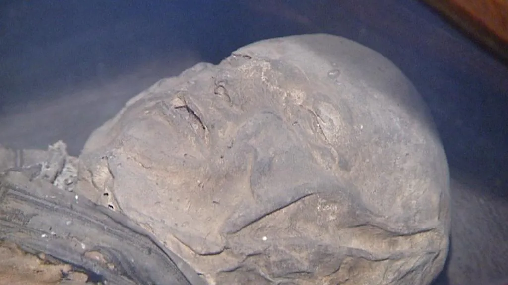 Mumie člena rodiny Gryspeků