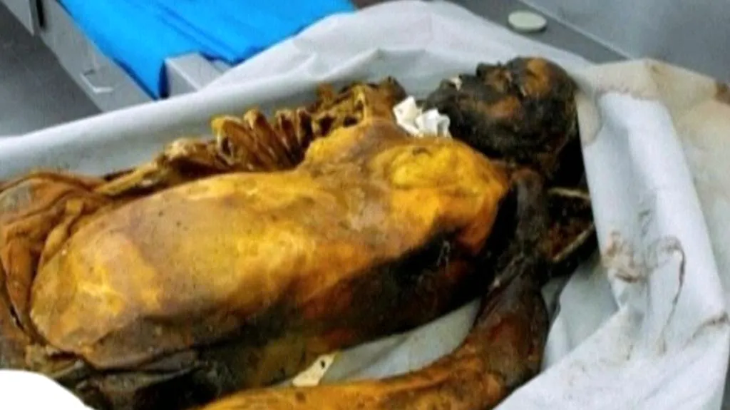 Oběť mexické drogové války