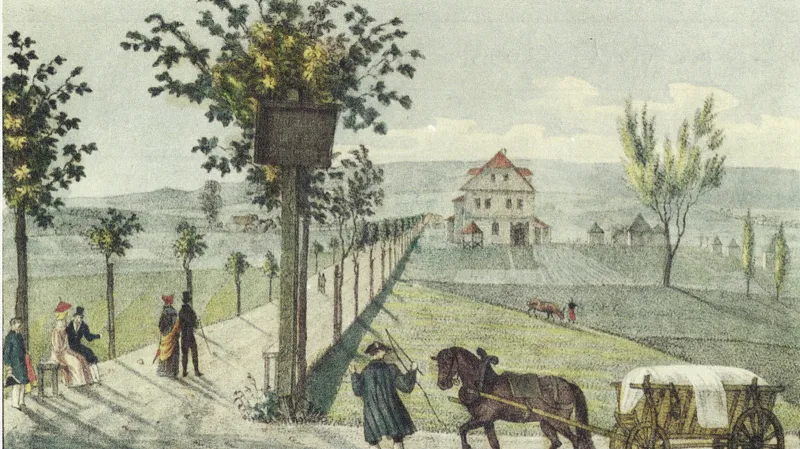 Obec Bylany (snímek z roku 1898). Bylany se nacházely asi 7 km jihozápadně od Mostu. Na severozápadě sousedily s obcí Vršany, na severovýchodě s Čepirohami a Velebudicemi. Název obce vznikl nejspíše ze staročeského „Bylené“, jako pojmenování pro obyvatele místa, na němž rostlo mnoho rostlin. Obec definitivně zanikla v roce 1978