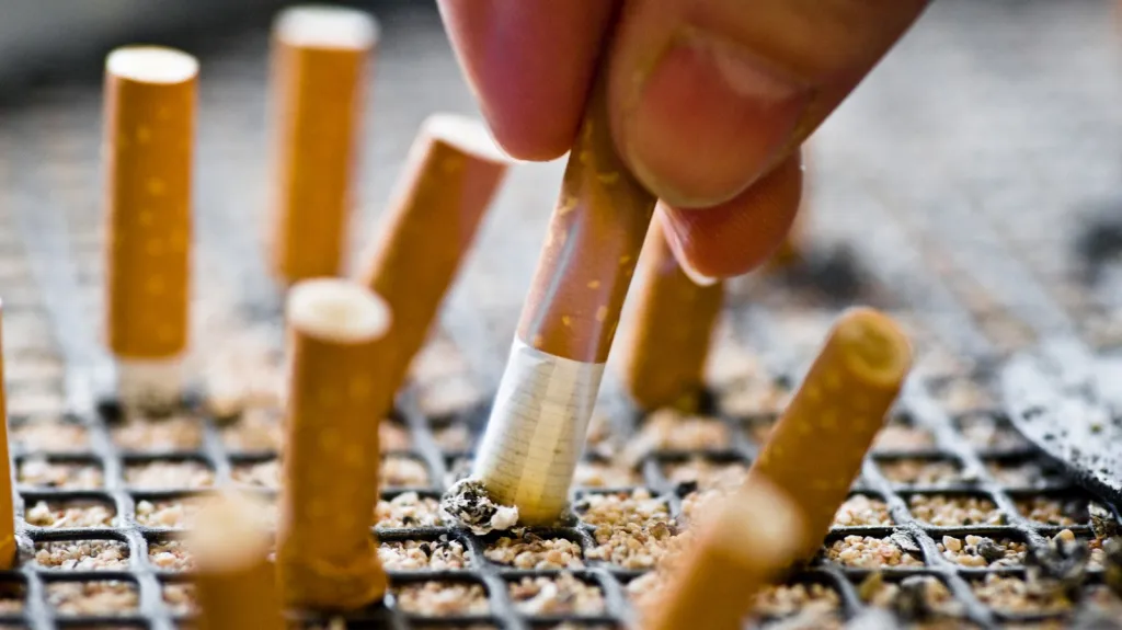 Cigarety