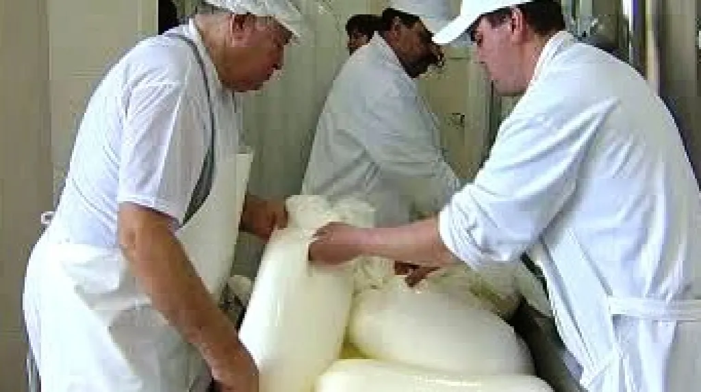 Výroba sýra na kozí farmě