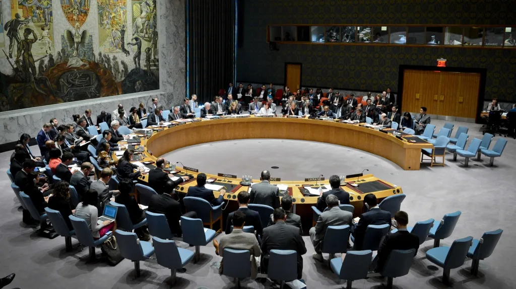 Rada bezpečnosti projednává zřícení letu MH17