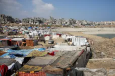 Situace přeživších v Gaze je katastrofální, míní Gomba z UNICEF