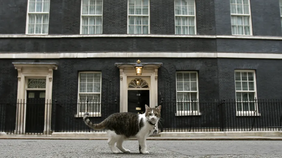 Kocour Larry před Downing street 10
