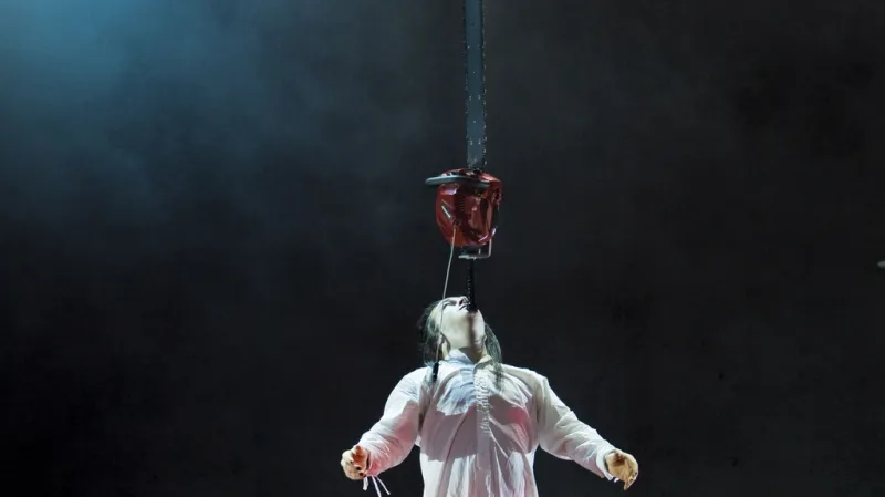 Cirkus Cirkör/ Wear it like a crown