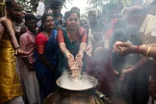 Tamilové oslavují hinduistický svátek sklizně Pongal