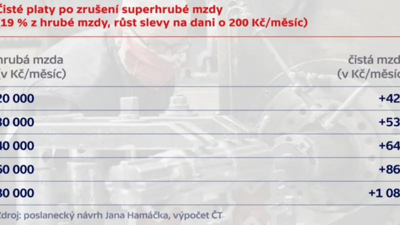 Hamáčkův návrh superhrubé mzdy