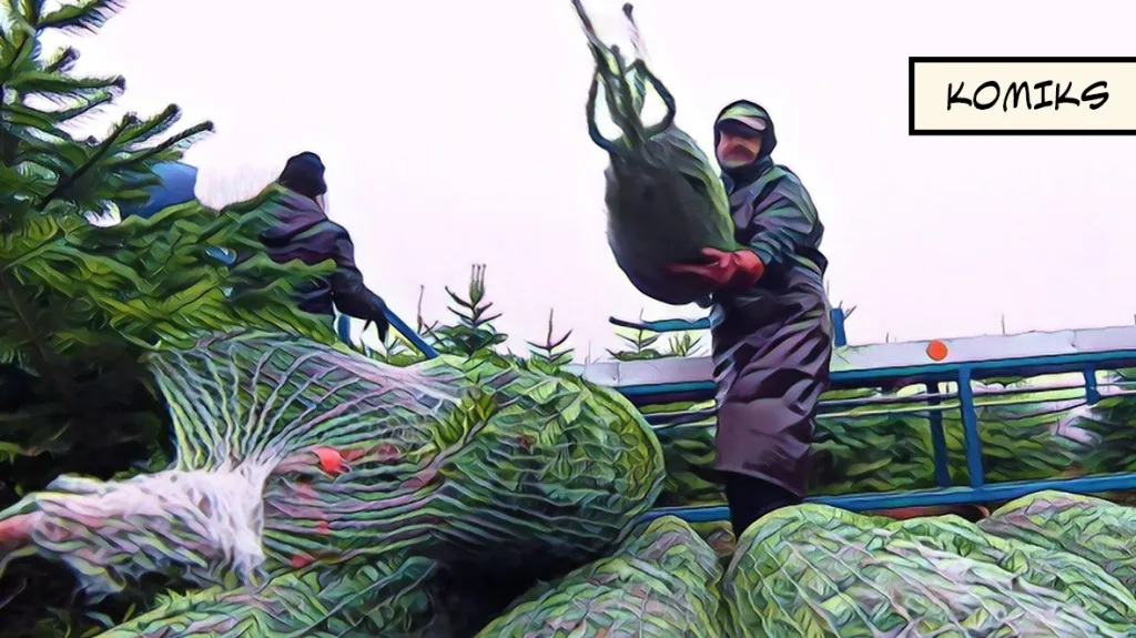 Prodej vánočních stromků