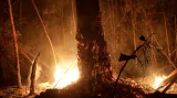 Horizont ČT24: Požáry pralesa v Amazonii a komentář ekologa Radima Matuly