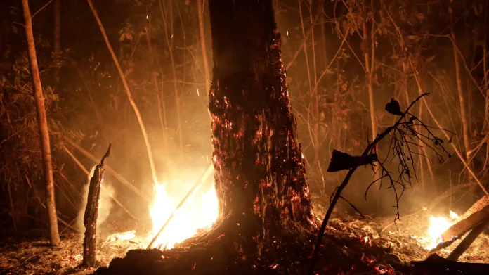 Komentář Bohdana Lojky k požárům v Amazonii