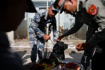 Psí pomocníci nepálské policie předvedli své umění během festivalu Tihar
