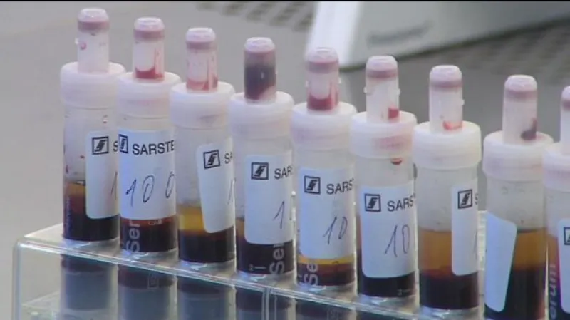 Reportáž Barbory Halbgebauerové