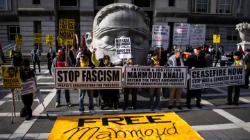 Univerzitní demonstrace v USA