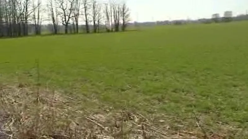 Oblast, kde se má těžit