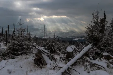 Meteorolog Karas: Zima je letos výrazně teplá. Na vině jsou tlakové výše nad jihovýchodní Evropou