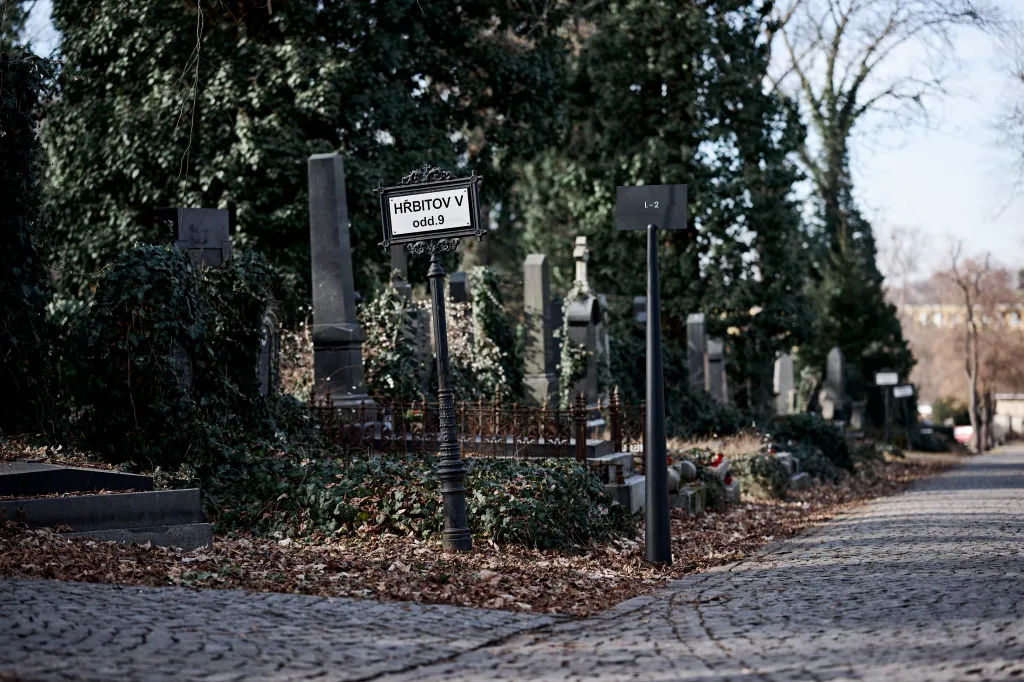 Do finále v kategorii Designér/ka roku se dostali autoři, jejichž práce propojuje funkčnost, koncept a dlouhodobý přínos veřejnému i soukromému prostoru. Finalisty jsou Eduard Herrmann a Josef Tomšej za navigační systém a mobiliář pro Hřbitovy a pohřební služby hl. m. Prahy...