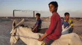 Ali Arkady / Děti pracující v silně znečištěné cihelně (24. 7. 2013, Nadžaf, Irák)