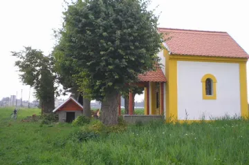 AVÍZO: Sázení 42 lip v obci Mžany