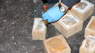 Celníci v Praze odhalili zásilku 182 kilogramů heroinu