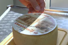 Výroba livaňského ovčího sýru kvůli válce na Balkáně skoro zanikla. V Bosně teď pomáhají experti i peníze z Česka 
