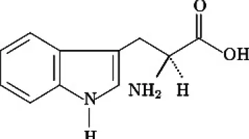 Vzorec aminokyseliny tryptofanu