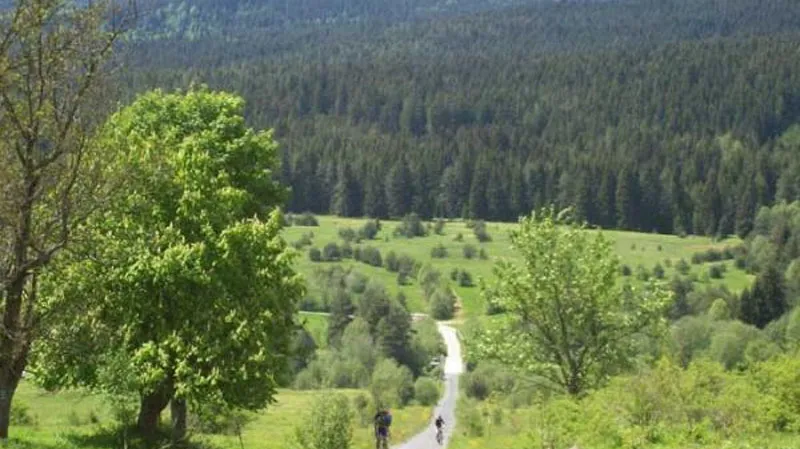 Šumava