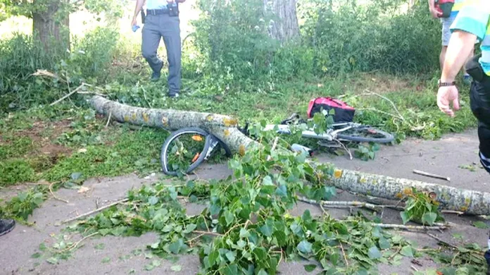 U Černošic zranila padající větev cyklistu