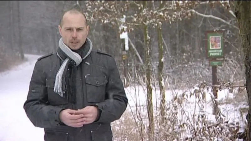 Reportáž Michala Šebely