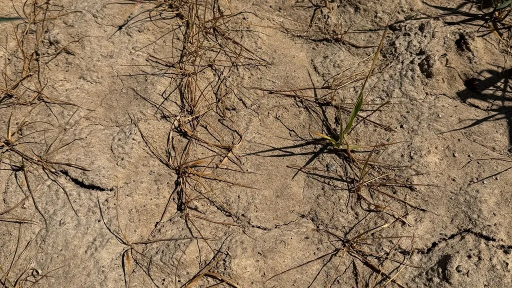 Aktuální sucho u Trebišova