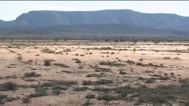 Reportáž Davida Miřejovského