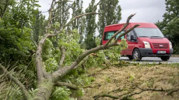 Bouřka se silným větrem v noci na 30. června 2021 v Královéhradeckém kraji lámala stromy. Na snímku je sražený strom u Choustníkova Hradiště u hlavní silnice z Hradce Králové do Trutnova
