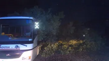 Na autobus spadl strom