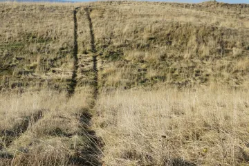 Ambient není jen hudbou k marinovanému humrovi