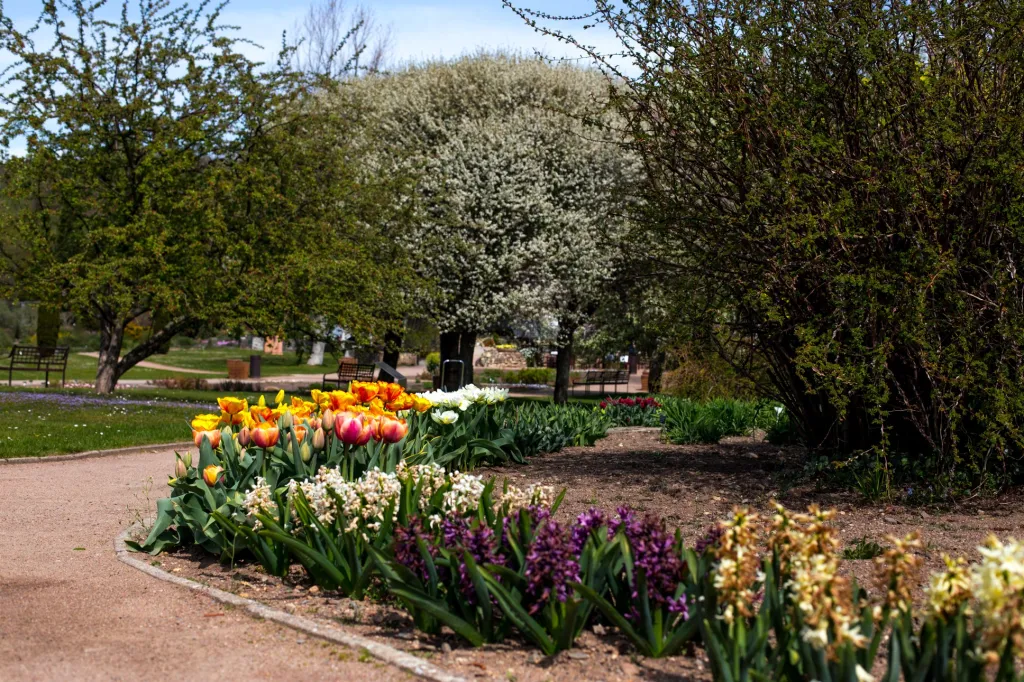 Výstava motýlů je navíc limitována i časově. Zpravidla se otevírá začátkem dubna. Motýli létají převážně v době slunečního svitu, který se od léta zkracuje, výstavu je proto možné uspořádat nejpozději do konce léta