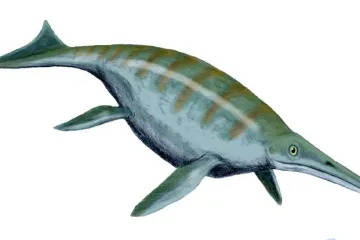 Našli jsme možná největšího tvora, který kdy žil na Zemi, připouštějí paleontologové