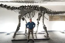 V Utahu objevili neznámého dinosaura. Dostal jméno Moabosaurus