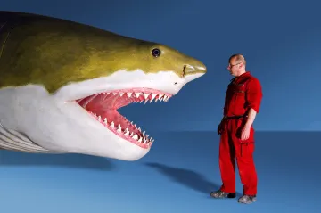 Obrovský, štíhlý, děsivý. Paleontologové opět přehodnocují tvar megalodona