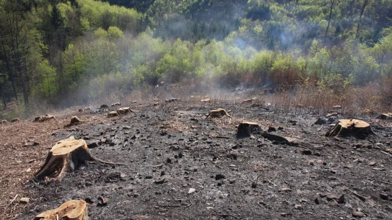 Požár způsobil škodu asi za 50 tisíc korun