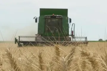 Válka rozpoutává potravinovou krizi. Česko má obilí pro každého na třicet dní