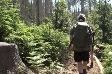 Letošní dovolená vytáhne Čechům z kapes výrazně víc peněz, a to i ta v tuzemsku